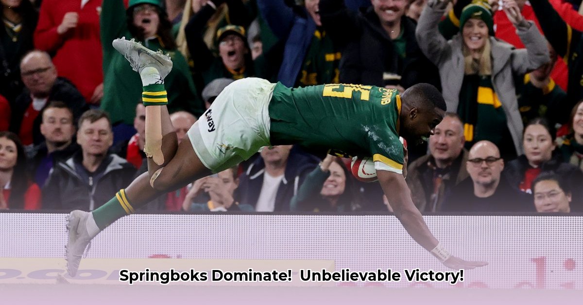 springboks-vs-barbarians-score-today
